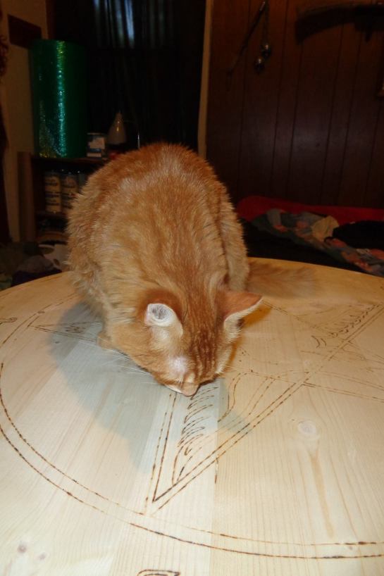 13987351_10209875194981671_917708632_o